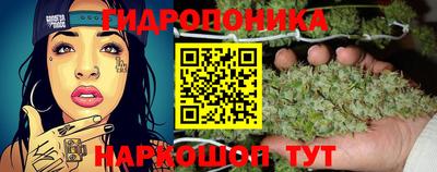 мдпв Можга