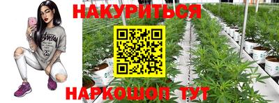 герыч Моздок