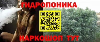 мдпв Можга